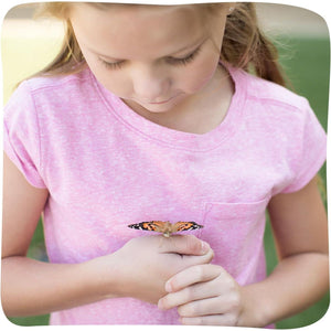 Insect Lore Butterfly Garden Kit STEM Activity with 10 Live Caterpillars Habitat Feeder and Log