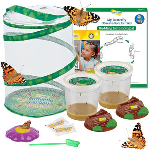 Insect Lore Butterfly Garden Kit STEM Activity with 10 Live Caterpillars Habitat Feeder and Log