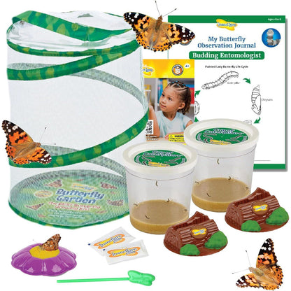 Insect Lore Butterfly Garden Kit STEM Activity with 10 Live Caterpillars Habitat Feeder and Log