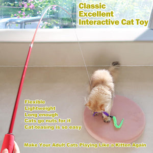 Interactive Cat Wand Toy with Retractable Rod and Feather Refills for Indoor Cat Play and Exercise