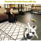 Interactive Cat Wand Toy with Retractable Rod and Feather Refills for Indoor Cat Play and Exercise