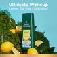 Irish Spring Ultimate Wakeup Tea Tree + Iced Lemon Moisturizing Face + Body Wash 591ml