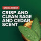 Irish Spring Sage & Cedar Gel Body Wash 532ml,035000969804,