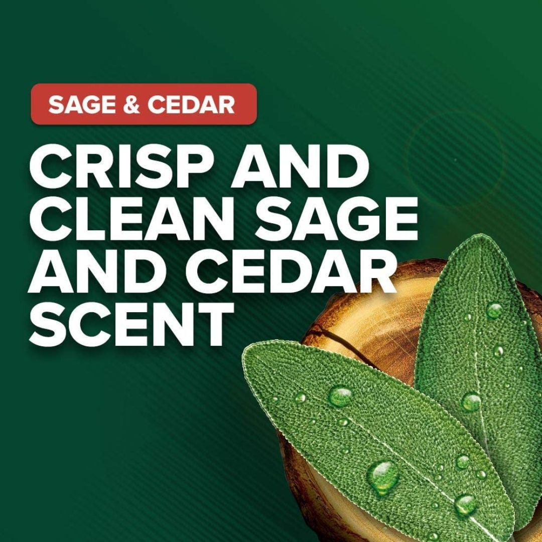 Irish Spring Sage & Cedar Gel Body Wash 532ml,035000969804,