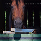 Ivermax Apple Flavor Ivermectin Equine Dewormer 2 Pack Horse Paste for Parasite Control
