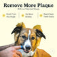 Jasper Dog Toothbrush Kit, 2 Pack Blue, 360° Finger Brush for Dogs & Cats, Pet Teeth Cleaning Tool, Toothpaste Not Included