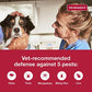 K9 Advantix II Flea Tick and Mosquito Treatment for Large Dogs 21–55 lbs 6 Month Vet Recommended Topical Supply
