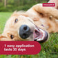 K9 Advantix II Large Dog Flea & Tick Treatment, 2 Month Supply, 21–55 lbs, Vet Recommended, Waterproof