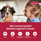 K9 Advantix II Large Dog Flea & Tick Treatment, 1 Month Supply, Dogs 21–55 lbs, Vet Recommended