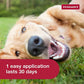 K9 Advantix II Flea Tick and Mosquito Treatment for Large Dogs 21–55 lbs 6 Month Vet Recommended Topical Supply
