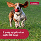 K9 Advantix II Flea and Tick Prevention for Dogs 11–20 lbs Vet Approved 2 Month