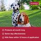 K9 Advantix II XL Dog Flea Tick Mosquito Treatment for Over 55 lbs Dogs 1 Month Supply Vet Recommended