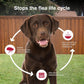 K9 Advantix II XL Flea, Tick & Mosquito Treatment, 2-Month Supply, Dogs Over 55 lbs, Vet-Recommended
