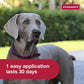 K9 Advantix II XL Dog Flea Tick Mosquito Treatment for Over 55 lbs Dogs 1 Month Supply Vet Recommended
