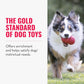 KONG Classic Large Dog Toy Durable Natural Rubber for Chewing Fetch and Treat Stuffing with Erratic Bounce for Long Play Sessions