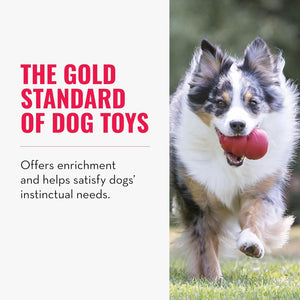 KONG Classic Large Dog Toy Durable Natural Rubber for Chewing Fetch and Treat Stuffing with Erratic Bounce for Long Play Sessions