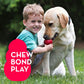 KONG Classic Stuffable Dog Toy for Medium Dogs Durable Rubber Chew Toy with Treat Filling Fun Bounce