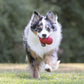 KONG Classic Stuffable Dog Toy for Medium Dogs Durable Rubber Chew Toy with Treat Filling Fun Bounce