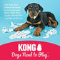KONG Puppy Teething Toy, Natural Rubber, Small, Blue, Stuffable Fetch Chew Toy for Puppies
