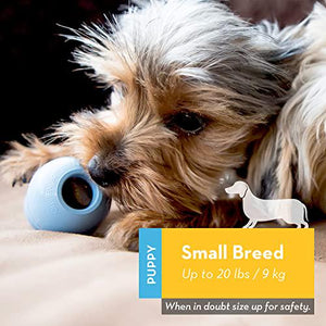 KONG Puppy Teething Toy, Natural Rubber, Small, Blue, Stuffable Fetch Chew Toy for Puppies