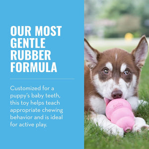 KONG Puppy Toy, Pink, Small Size, Natural Rubber, Teething & Fetch Toy for Puppies