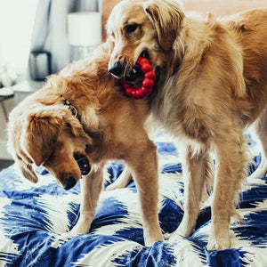 KONG Ring Rubber Chew Toy for Medium Large Dogs Supports Dental Health and Natural Chewing Habits