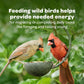 Kaytee All-American Wild Bird Food Seed Blend, 5 lb Bag, Premium Natural Mix for Outdoor Birds
