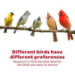 Kaytee All-American Wild Bird Food Seed Blend, 5 lb Bag, Premium Natural Mix for Outdoor Birds