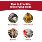 Kaytee All-American Wild Bird Food Seed Blend, 5 lb Bag, Premium Natural Mix for Outdoor Birds