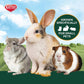 Kaytee All Natural Timothy Hay for Rabbits Guinea Pigs and Small Animals 3 lb Bag