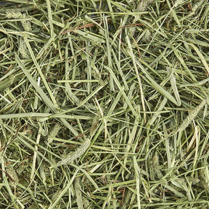 Kaytee Natural Timothy Hay 2 lb for Rabbits Guinea Pigs and Small Animals Supports Digestive Health