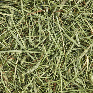 Kaytee All Natural Timothy Hay 12 lb for Guinea Pigs Rabbits and Small Animals Supports Digestive Health