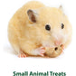Kaytee Apple Timothy Biscuits, 4 oz, Baked Treat for Guinea Pigs, Rabbits & Small Animals