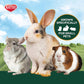 Kaytee Wafer Cut Timothy Hay, 60 oz, All Natural Hay for Guinea Pigs, Rabbits & Small Pets