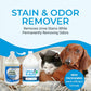 Kinzua Urine B Gone 1 Gallon Enzyme Cleaner, Removes Pet Urine Stains & Odors, Original Scent, for Carpets & Laundry