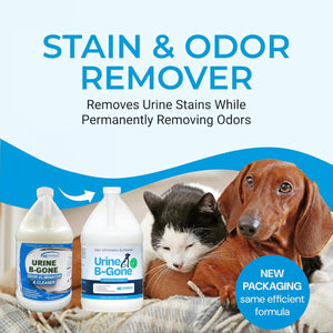 Kinzua Urine B Gone 1 Gallon Enzyme Cleaner, Removes Pet Urine Stains & Odors, Original Scent, for Carpets & Laundry