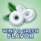 Life Savers Wintergreen Flavor Breath Mints, 13 oz Sharing Size Bag, Hard Candy, 1 Bag, Perfect for Refreshing Your Breath with Sweet Wintergreen Taste.