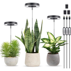 LORDEM Grow Light, Full Spectrum LED Plant Light For Indoor Plants, Height Adjustable Growing Lamp With Auto On/Off Timer, 4 Dimmable Brightness, Ideal For Small Plants, 3 Packs Of Black,