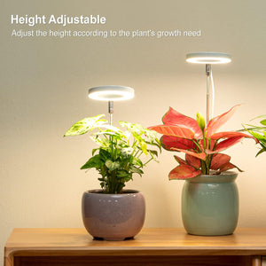 LORDEM Grow Light, Full Spectrum LED Plant Light For Indoor Plants, Height Adjustable Growing Lamp With Auto On/Off Timer 4/8/12H, 4 Dimmable Brightness, Ideal For Small Plants,