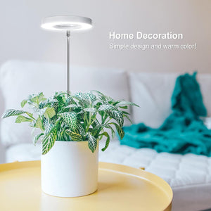 LORDEM Grow Light, Full Spectrum LED Plant Light For Indoor Plants, Height Adjustable Growing Lamp With Auto On/Off Timer 4/8/12H, 4 Dimmable Brightness, Ideal For Small Plants, 2 Packs,