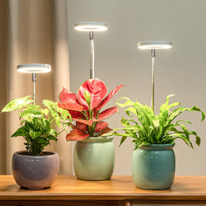 LORDEM Grow Light, Full Spectrum LED Plant Light For Indoor Plants, Height Adjustable Growing Lamp With Auto On/Off Timer 4/8/12H, 4 Dimmable Brightness, Ideal For Small Plants, 3 Packs,
