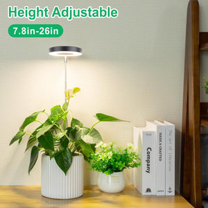 LORDEM Plant Grow Light, Full Spectrum LED Plant Light For Indoor Plants, Growing Lamp With Auto On/Off Timer 4/8/12H, 4 Dimmable Brightness, Ideal For Small Plants, Black,