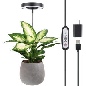LORDEM Plant Grow Light, Full Spectrum LED Plant Light For Indoor Plants, Growing Lamp With Auto On/Off Timer, 4 Dimmable Brightness, Ideal For Indoor Plants, Black,