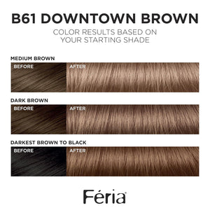 L'Oreal Paris L'Oreal Paris Feria Multi-Faceted Shimmering Permanent Hair Color, B61 Downtown Brown (Hi-Lift Cool Brown), Pack Of 1, Hair Dye
