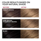 L'Oreal Paris Superior Preference Fade-Defying + Shine Permanent Hair Color, UL61 Ultra Light Ash Brown, Pack Of 1, Hair Dye,
