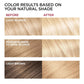 L'Oreal Paris Superior Preference Fade-Defying + Shine Permanent Hair Color, LB01 Extra Light Ash Blonde, Pack Of 2, Hair Dye,