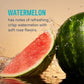 Liquid IV Hydration Multiplier, Watermelon Electrolyte Powder Drink Mix, 1 Pack (16 Servings)