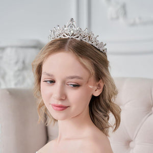 Lovelyshop Clear Crystal Sliver Swan Alloy Tiara For Younger Woman In Party Wedding Quinceanera,