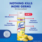 Lysol Disinfectant Spray, Lemon Breeze, 19 fl oz, Sanitizing & Antibacterial Spray for Deodorizing