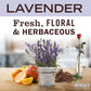 Mrs Meyer’s Clean Day All-Purpose Cleaner Spray, Lavender, 16 Fl Oz